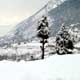 Kashmir Snow Trek