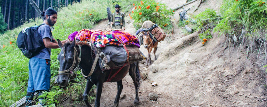 Malish Trekking Guide