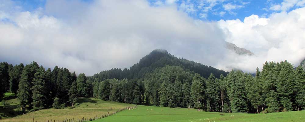 Mohanmarg